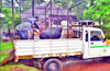 Moodbidri cops raid house ; seize 80 kg beef